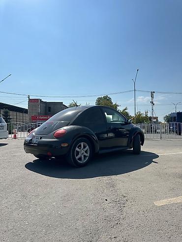 жук жабан: Volkswagen Bettle: 2004 г., 2 л, Автомат, Бензин, Хэтчбэк — 4