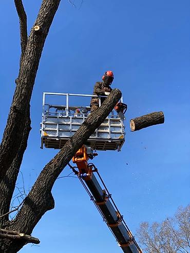 Аренда автовышки: *🚧 УСЛУГИ АВТОВЫШКИ 45 МЕТРОВ | Бишкек и Чуйская область* Нужны — 6