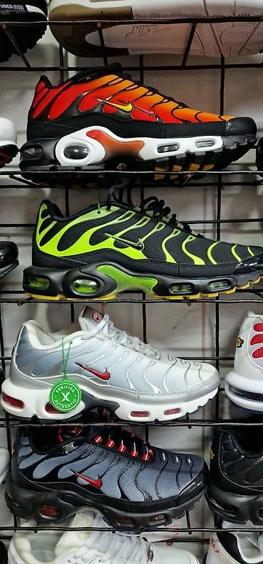 Patike: Nike Air Max Plus (Tn) patike – više kolorita Original u kutiji - — 5