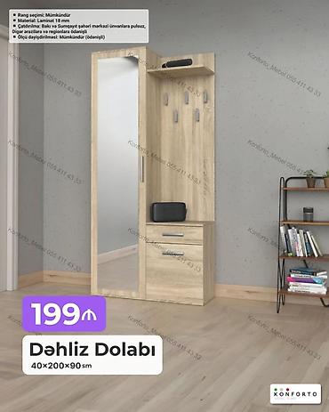 Mebel: Dəhliz dolabı – 40×200×90 sm - Material: 18 mm laminat - Güzgülü qapı — 1