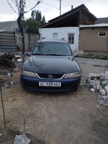 автомобиль опель: Opel Vectra: 2000 г., 1.6 л, Механика, Бензин, Универсал