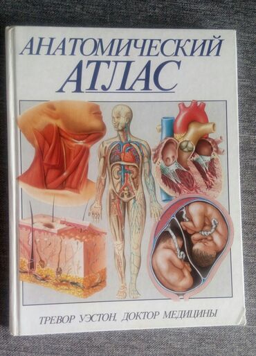 Книги, журналы, CD, DVD: Продаю книгу ' Анатомический атлас" 500 сом