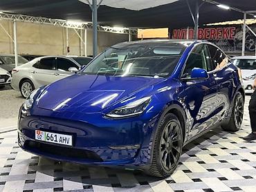 Tesla: Tesla Model Y: 2021 г., Электромобиль, Кроссовер — 2