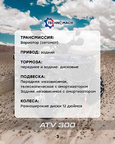 Квадроциклы: Квадроцикл Бензин, 320 куб. см, Взрослый — 3