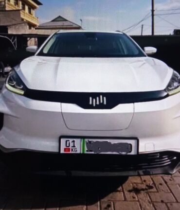 Weltmeister: Weltmeister EX5, 2020 г., 42000 км, Передний — 1