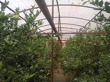 Сварка: Сварка Высотные работы — 38