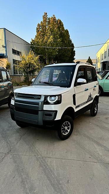 Microcar: Microcar : 2026 г., Электромобиль, Минивэн — 28