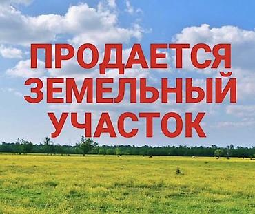 меняю участок: 6 соток, Красная книга — 1
