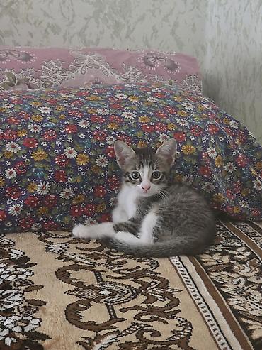 Yaxşı əllərə