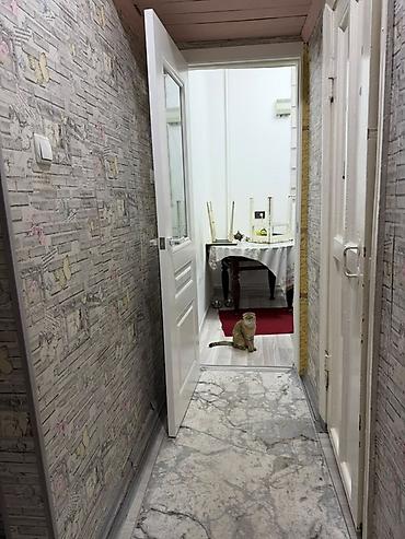 flat osh: 🏡 2-КОМНАТНАЯ КВАРТИРА С МЕБЕЛЬЮ И ТЕХНИКОЙ 📍 Московская / Молодая — 2