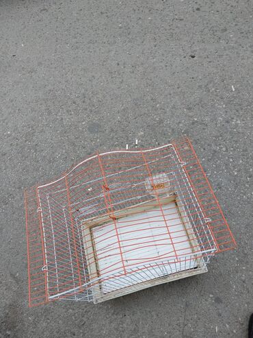 Balıqlar: Quş qəfəsi - Material: metal barmaqlıqlar, plastik altlıq - Ölçü