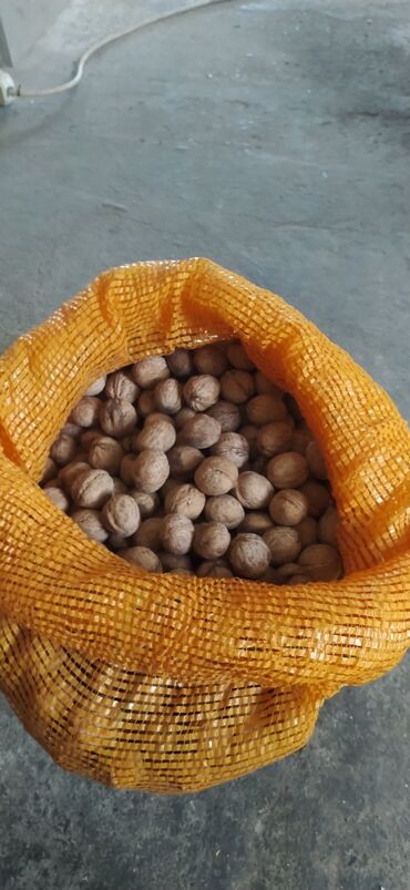 Сухофрукты, орехи, снеки: Орехи жангак около 70-80 кг