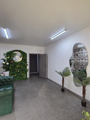 Продажа офисов: Продажа офисов 54 м², С ремонтом, Многоэтажное здание, Цокольный этаж этаж — 2