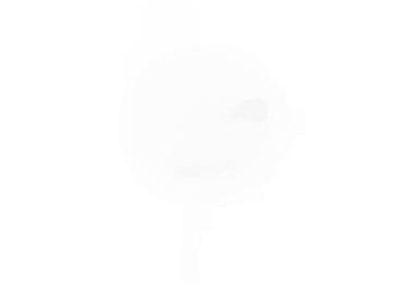 Ostali aksesoari za mobilne telefone: BAVIN CB215 magnetni bežični punjač - Kompatibilan sa MagSafe — 6