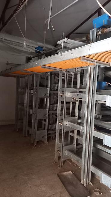 perforator satilir: Salam. Yumurtaliq toyuq avadaliği satilir 1defe istiyade olunub tam — 4