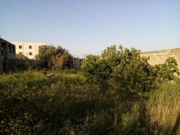 Uzunmüddətli kirayə evlər: 21 kv. m, 2 otaqlı, İnternet, Qaz, İşıq — 15