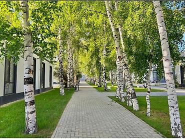 Отдых на Иссык-Куле: Коттедж, Атлантис, Сары-Ой, 5 мест — 4