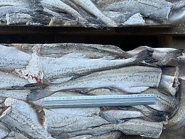 купить суш: 🐟 ПРОДАЁМ РЫБУ — МИНТАЙ ОТ 30 СМ! ❄️ ✅ Крупная рыба ✅ Замороженный — 1
