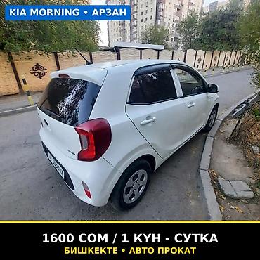 болушу: Ижарага берем Kia Morning, Күнүмдүк, Айдоочусуз, | Күрөө — 2