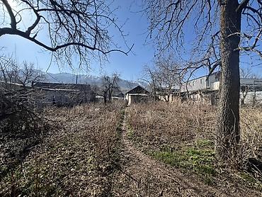 Жер тилкелери: С.Воронцовка.Срочно продаётся дом с участком.Дом старый,можно под — 5