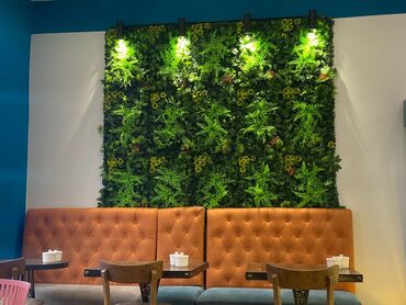 Bağ və bostan üçün digər məhsullar: 19 man baslayan qiymetler — 29