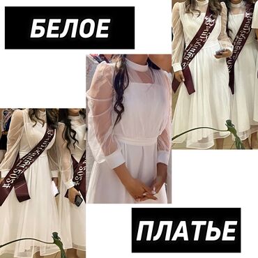 платье белое: Вечернее платье, Длинная модель, С рукавами, M (EU 38)
