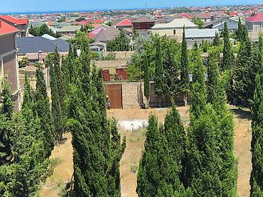 şeki: 10800 sot, Bələdiyyə — 9