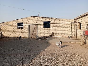 Kommersiya daşınmaz əmlakı: 12 sotun içində həyatyanı ferma satılır.70 baş iri buynuzlu mal — 8
