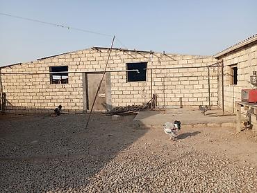 İcarəyə binalar: Ferma satılır ferma Xızı rayonu yeni yaşma kəndində yerləşir 12 sotun — 7