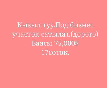 продажа токмок: 17 соток, Бизнес үчүн, Кызыл китеп