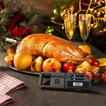 Ostali kuhinjski aparati: Termometar Bluetooth za meso Armeator A1 -U radnji košta 100e — 10