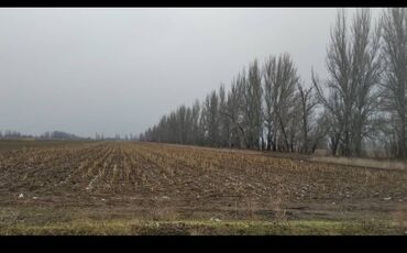 продаю ферма: Айыл чарба үчүн