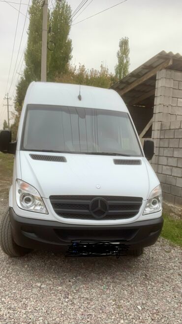 протер 2: Mercedes-Benz Sprinter: 2010 г., 2.7 л, Автомат, Дизель, Бус