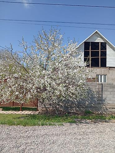 Продажа времянок: 🌳🏦🌳 УЙ + БИЗНЕС 🌳🏦🌳 ЧОН УЙ САТЫЛАТ, РАЗМЕРИ 12/ — 4