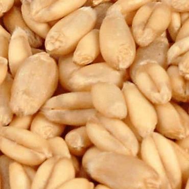 Другие сеялки: 🔥 посевной комплекс cansa (турция) по супер цене! 🔥 сеялка — 3