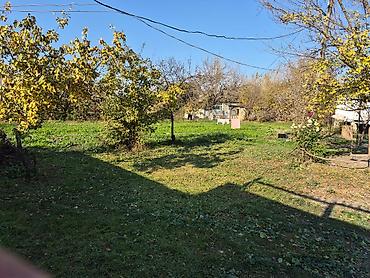 Həyət evləri və villalar: 14 sot torpaq sahesinin içinde yaşayışlı ev köhnə tikili 2yataq otaq 1 — 1