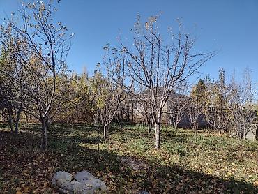 дом в кашка суу: 110 м², 4 комнаты — 10