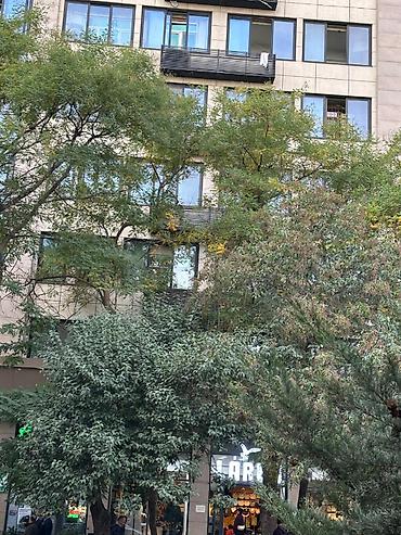 atatürk: 2 otaqlı, Yeni tikili, 67 kv. m — 2