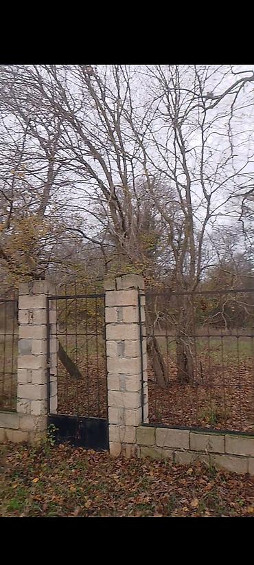 Bağ evlərinin satışı: Muxtadır, 155 kv. m, 7 otaqlı, Hovuzlu — 7