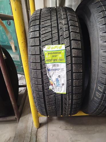 Зимняя шина Rapid Frost Bite TW01 - Размер: 245/50 R20 цена за шт