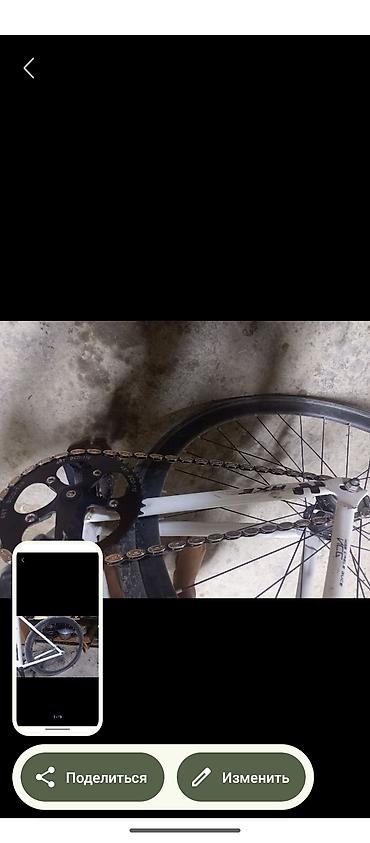 Городские велосипеды: Фикс-байк AXE (single speed/фикс) - Рама: алюминий, классическая — 1
