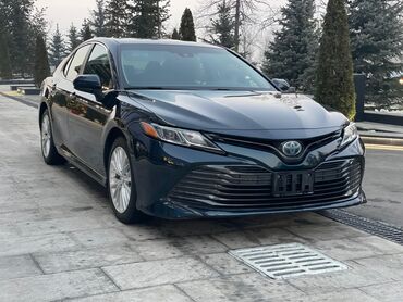 зимние ризины: Toyota Camry: 2018 г., 2.5 л, Вариатор, Гибрид, Седан