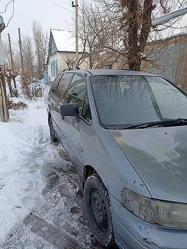 Honda: Honda Odyssey: 1995 г., Автомат, Бензин, Минивэн — 1