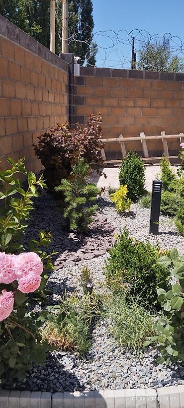 Дизайн, проектирование: Дизайн | Дома — 21