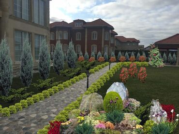 Ağaclar: Dekarativ agaclarin satisi qazon torpaq torf diger gubrelerin satisi — 10