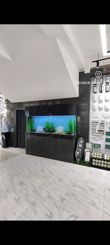 aqvarium: Akvarium-şkaf, Balıqlarla birlikdə, 1000000 l, Rayonlara çatdırılma, Ünvandan götürmə, Pulsuz çatdırılma — 5