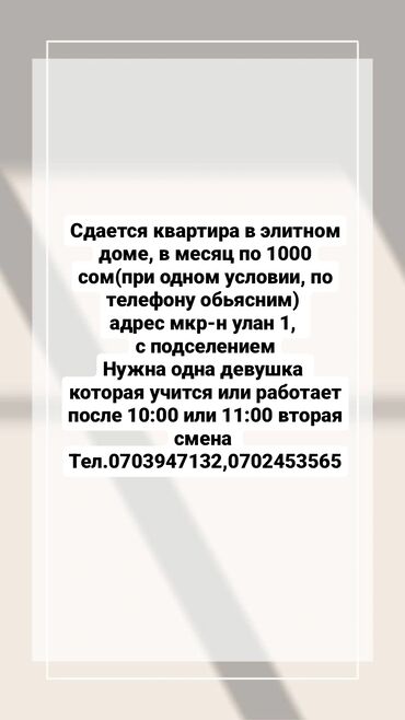 квартиру караколе: 2 бөлмө, Менчик ээси, Чогуу жашоо менен, Жарым -жартылай эмереги бар