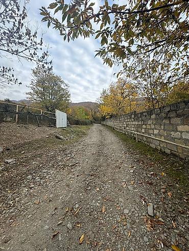 bineqedi heyet: Zaqatala rayonu, Car kəndində torpaq sahəsi satılır 📍 Sakit və — 7