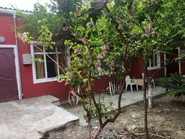 Bağ evlərinin kirayəsi: Həzi Aslanov qəs., 100 kv. m, 3 otaqlı — 8