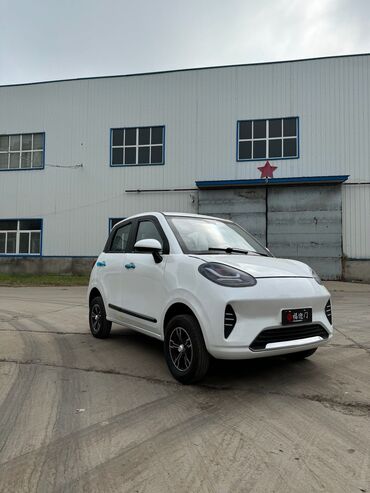 домик на колесах: Microcar : 2024 г., Электромобиль, Хетчбек